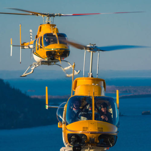 Bell 407 and 206L